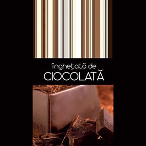 Inghetata de ciocolata 2.5l