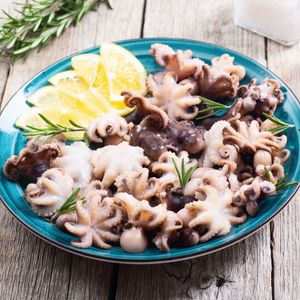 Caracatita baby, glazura 20%, 20/40 1kg