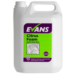 Sapun spuma miros citrice 5l