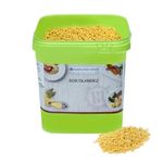 Sos-Olandez-granule-2kg_M0523611--1-