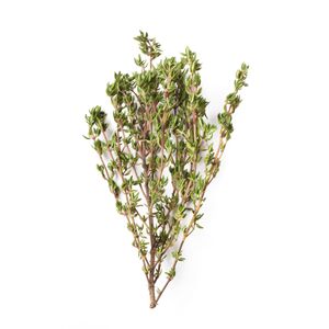 Cimbru 100g