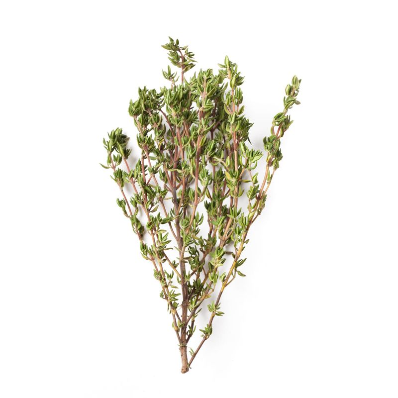 Cimbru-100g_00000640.jpg