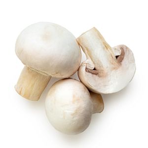 Ciuperci Champignon cal. 1 ~1kg