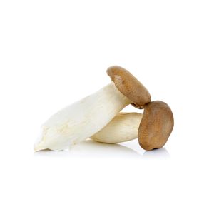 Ciuperci King Oyster ~1kg
