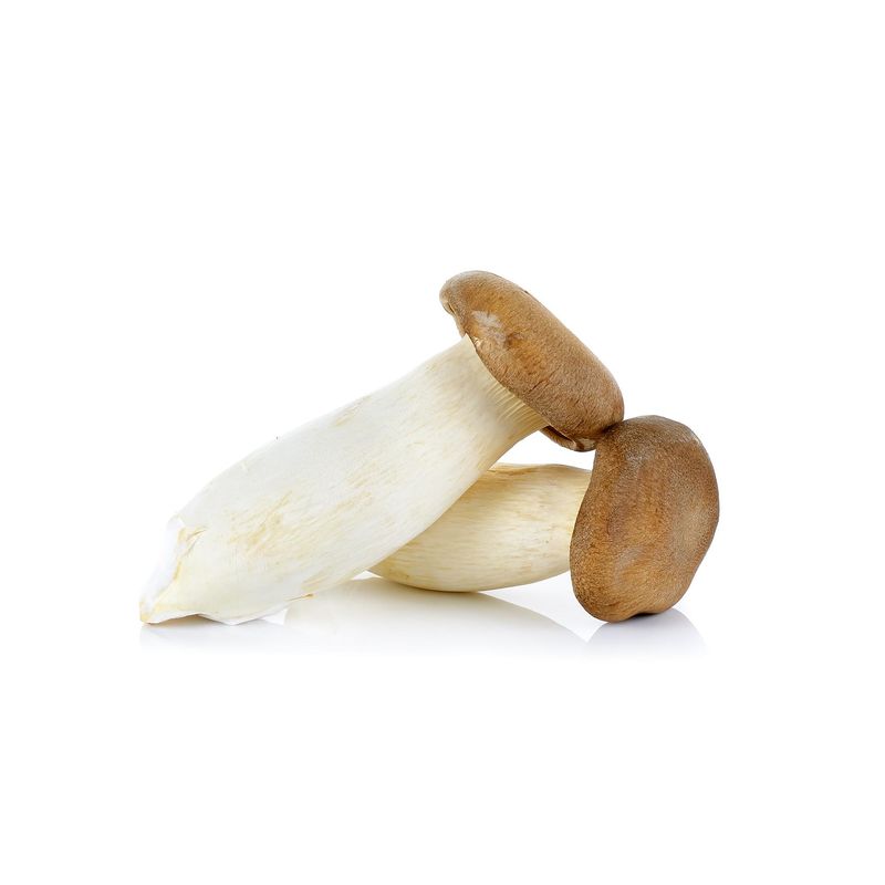 Ciuperci-King-Oyster_00001072.jpg