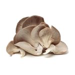 Ciuperci-pleurotus_00000277.jpg