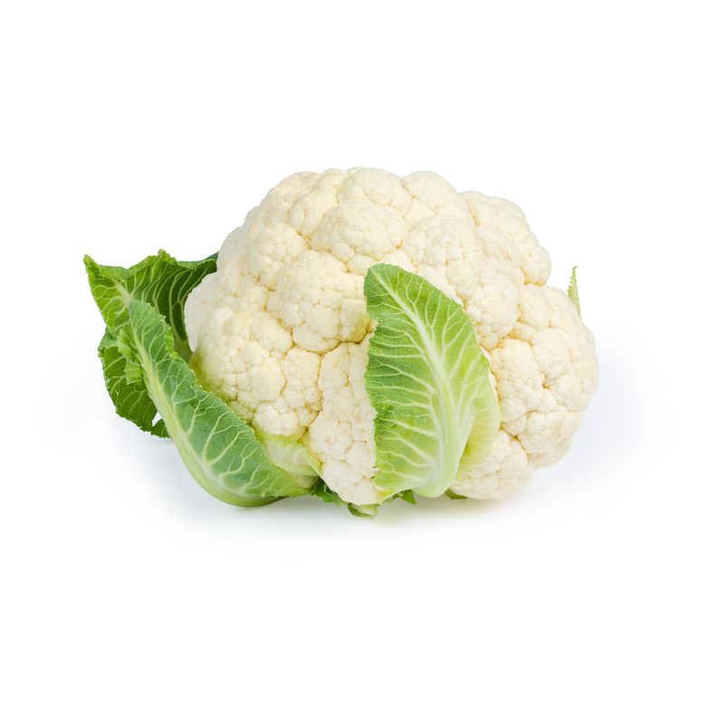 Conopida cal 1_00000281.jpg