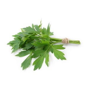 Leustean cal. 1, legatura