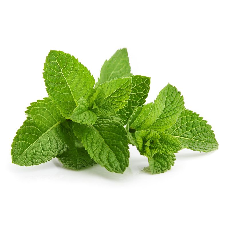 Menta-100g_00000360.jpg