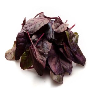 Salata Bulls Blood cal. 1 500g