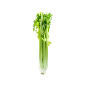 Telina Apio cal. 1 500g