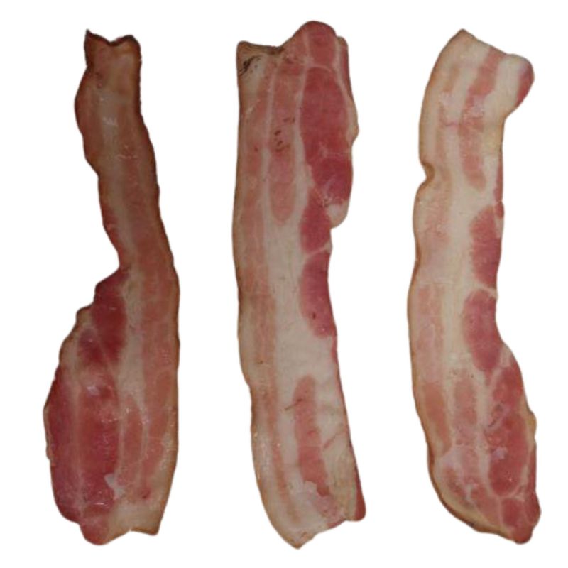 BACON COPT 50-_MZ203 -2.2-.jpg