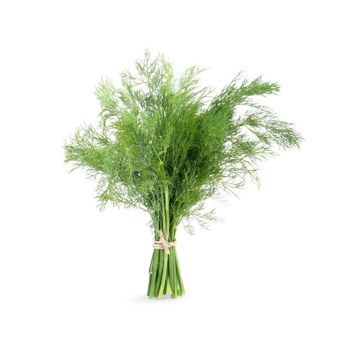 Plante aromatice prospete