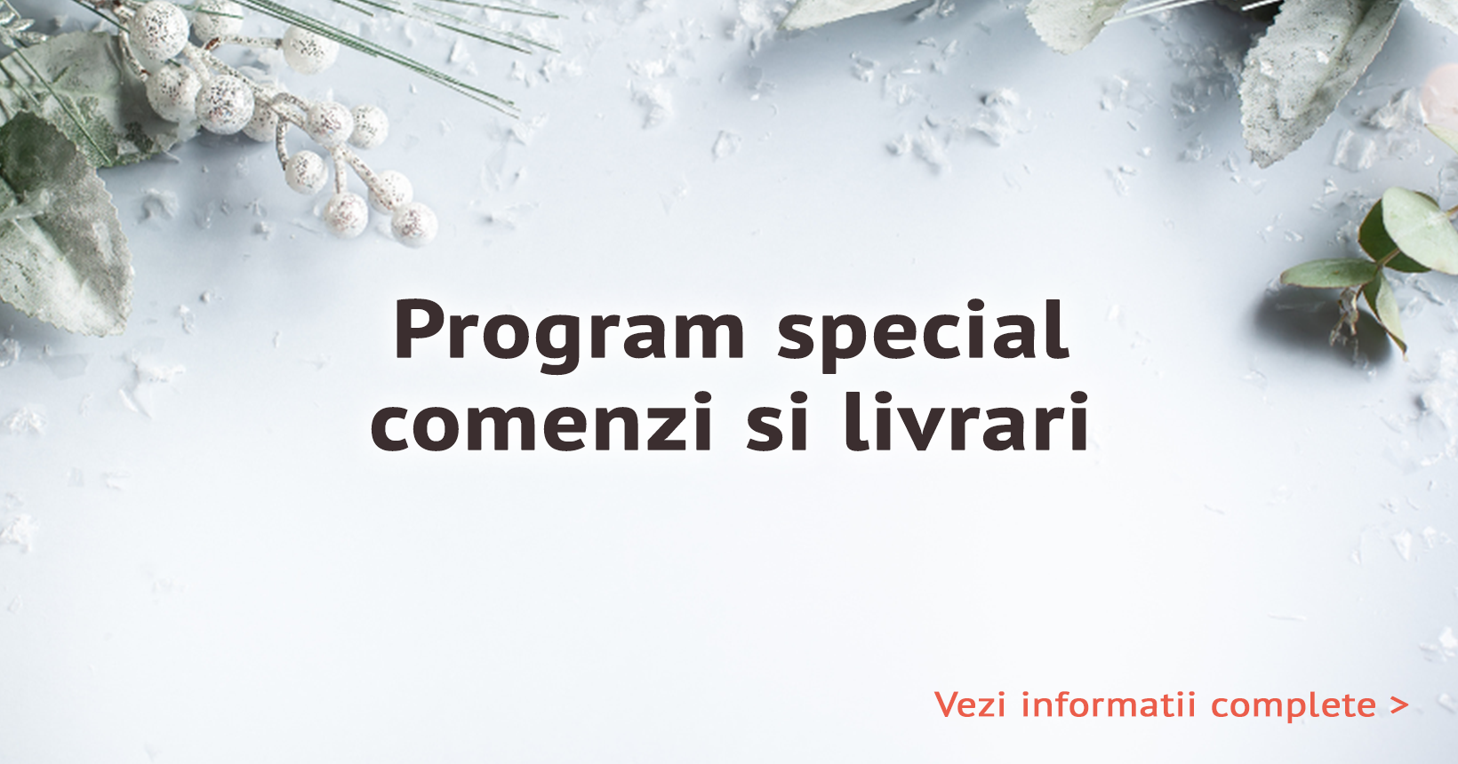 Program special comenzi si livrari​