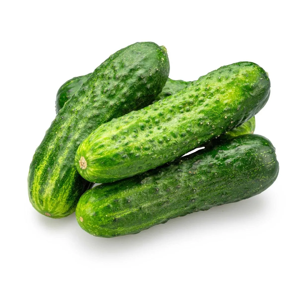 Castraveti proaspeti