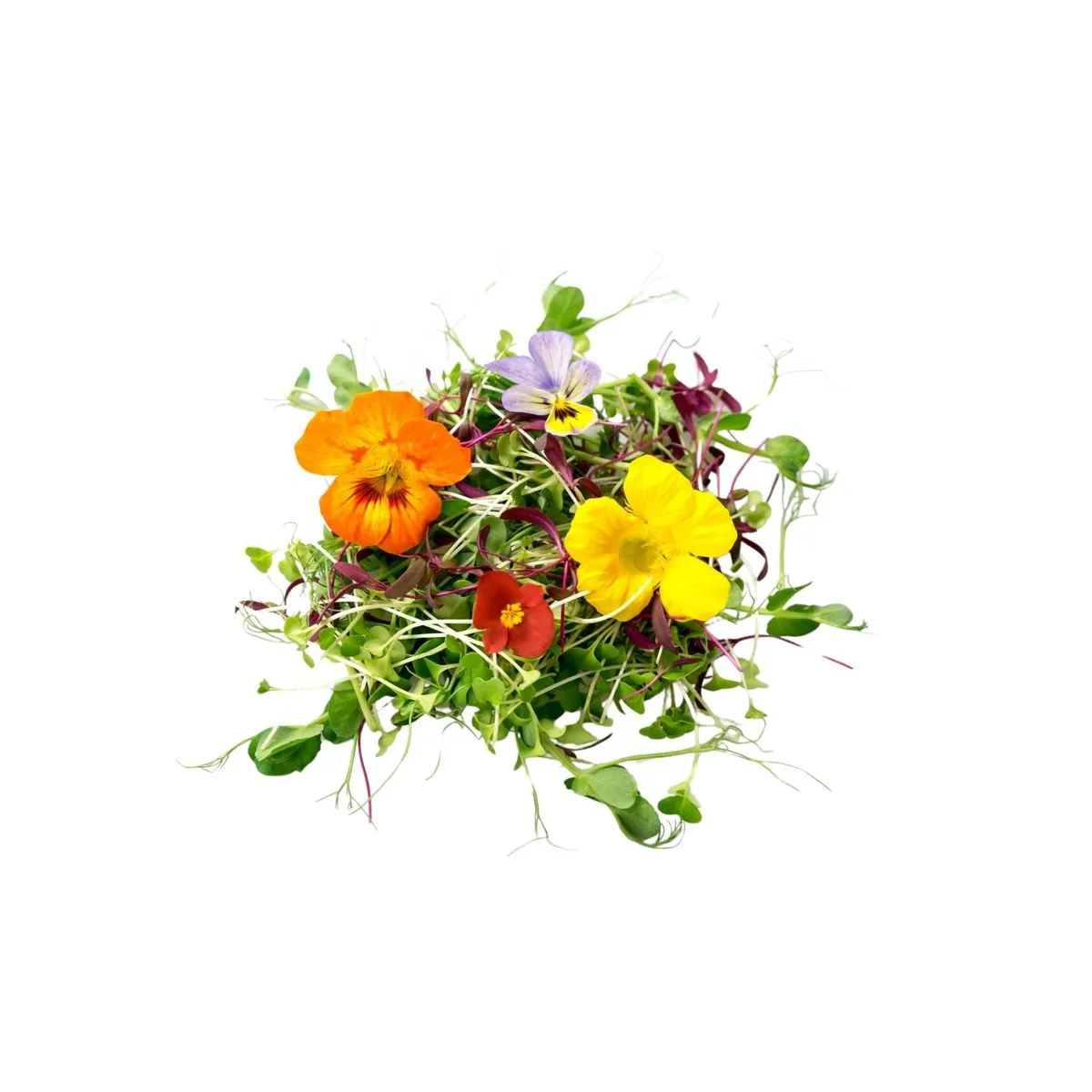 Microplante si flori comestibile